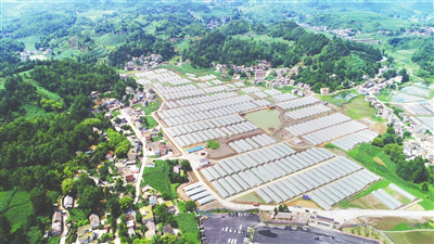 1-200S1101113244 122cc太阳集成游戏(中国)有限公司官网