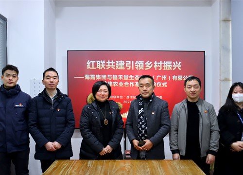 红联共建引领墟落振兴，，党建促营业深度融合