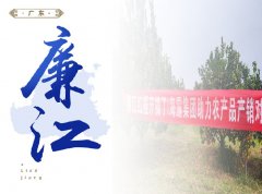 廉江-共开国家级水稻制种大县
